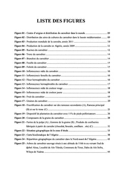 Le Caroubier dans le Nord-ouest de l'Algérie