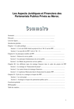 PPP Cas du Maroc
