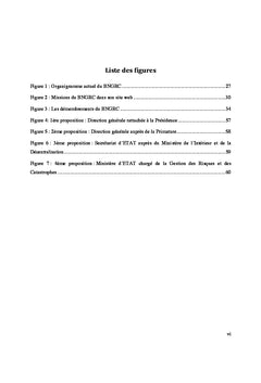 Reflexion pour la gestion des risques et des catastrophes A Madagascar