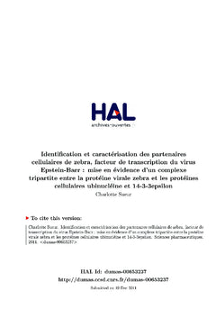 Interactions entre EBV et sa cellule hôte