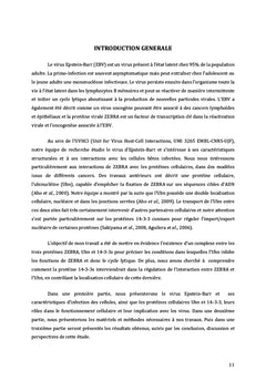Interactions entre EBV et sa cellule hôte