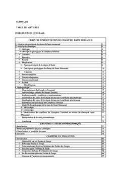 Evaluation du degre de vulnerabilite d'une nappe phreatique