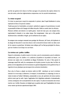 La tortue aux petites Antilles