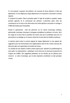 La tortue aux petites Antilles