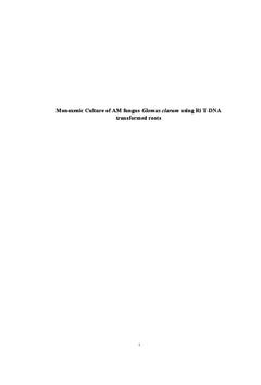 Monoxenic Culture of AM fungus Glomus clarum