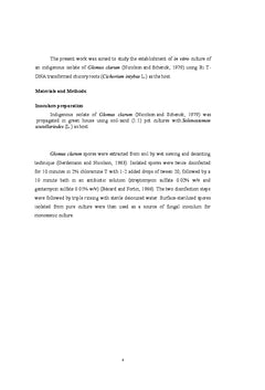 Monoxenic Culture of AM fungus Glomus clarum