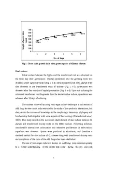 Monoxenic Culture of AM fungus Glomus clarum
