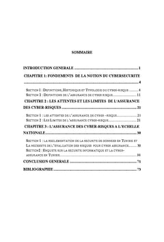 La cyberassurance en Tunisie