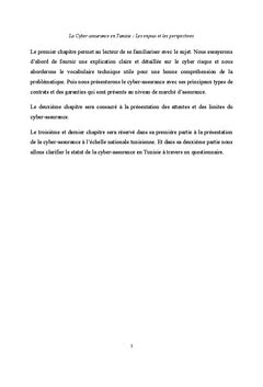 La cyberassurance en Tunisie