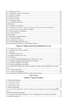 Interet du testing de l'HER-2 dans les cancers