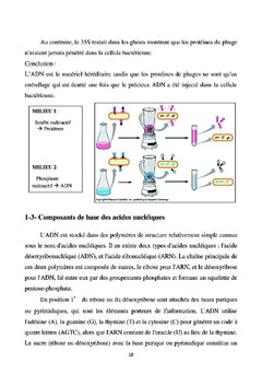 Génétique I