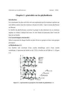Evolutions structurales et selectivite d'une smectite dioctaedrique