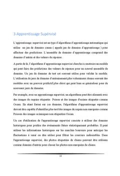 Apprentissage Automatique