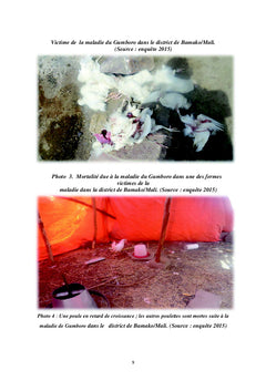 L'évaluation des incidences financières de la maladie de Gumboro