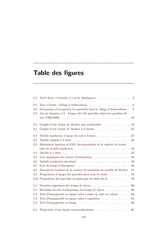 Modelisation markovienne des dynamiques d'usages des sols