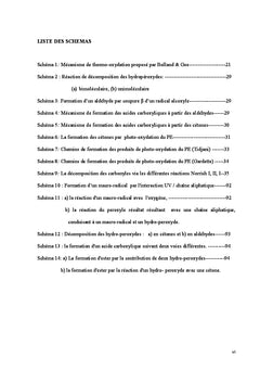 Etude physico-chimique du vieillissement naturel de films PeBD