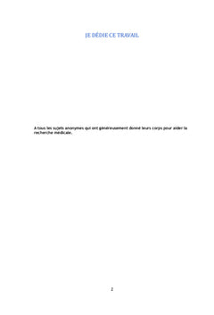 Corrélations anatomo-radio-cliniques du nerf médian