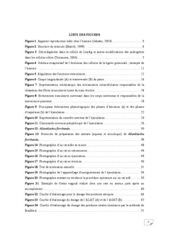 Effets prosexuels des extraits de Allanblackia floribunda Oliver