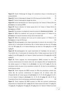 Effets prosexuels des extraits de Allanblackia floribunda Oliver