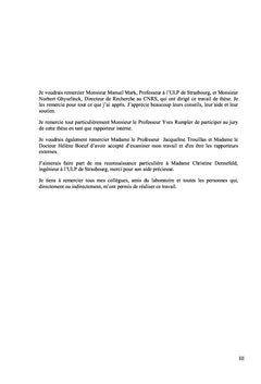 Etude du rôle de la voie de signalisation de la vitamine A