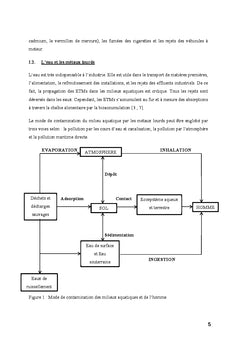 Conception du charbon actif A partir de noix de coco