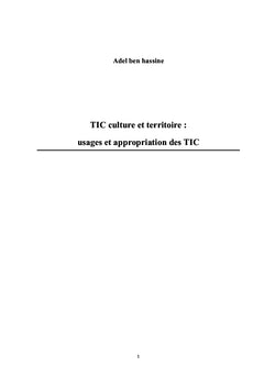 TIC culture et territoire : usages et appropriation des TIC