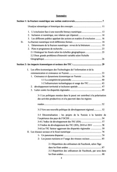 TIC culture et territoire : usages et appropriation des TIC