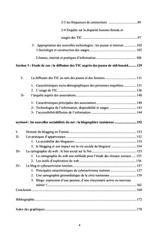 TIC culture et territoire : usages et appropriation des TIC