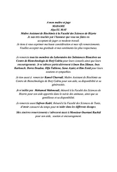 Obésité et stress oxydatif musculaire