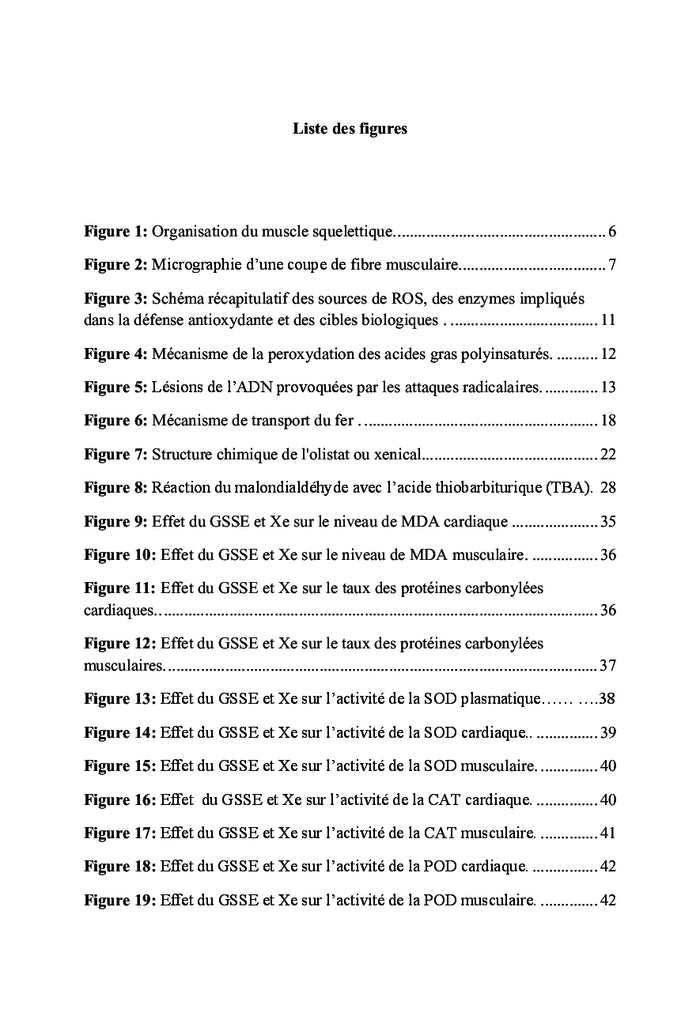 Obésité et stress oxydatif musculaire