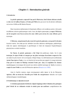 Enregistrements sédimentologiques et minéralogiques