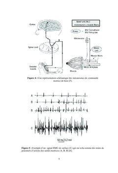 Fatigue musculaire : Acquisition & analyse