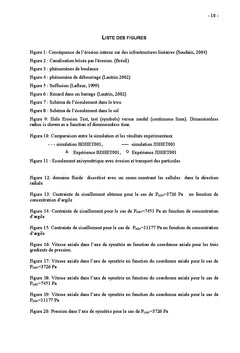 Modelisation mathematique et numerique de l'erosion des sols