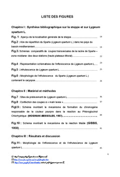 Etude anatomique, histochimique et structurale des lemmes de lygeum sp