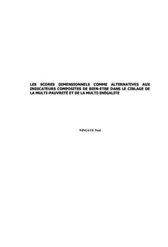 Les Scores Dimensionnels comme alternatives aux Indicateurs Composites
