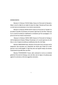 Les Scores Dimensionnels comme alternatives aux Indicateurs Composites