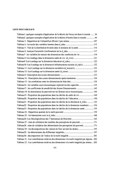 Les Scores Dimensionnels comme alternatives aux Indicateurs Composites
