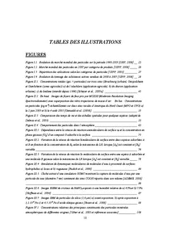 Dégradation photochimique des pesticides dans l'atmosphère