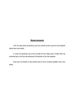 Analyse du travail des directeurs d'écoles primaires