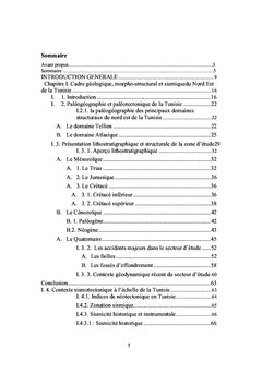 Un SIG pour l'analyse structurale du Nord est de la Tunisie