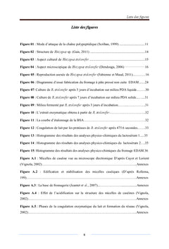Extraction de la protease coagulant le lait de Rhizopus stolonifer