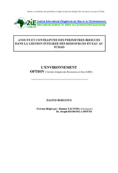 Perimetre irrigue et Gestion de l'eau au Tchad : Atouts et Contraintes