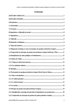 Perimetre irrigue et Gestion de l'eau au Tchad : Atouts et Contraintes