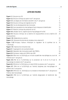Effet de la vitamine D sur le macrophage face à Pseudomonas aeruginosa