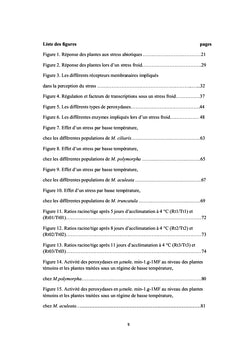 Diversite genetique d'ecotypes algeriens de Medicago sous strèss froid
