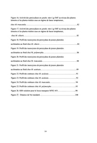 Diversite genetique d'ecotypes algeriens de Medicago sous strèss froid