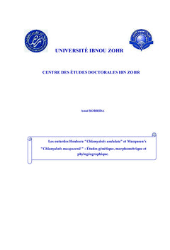 Outarde Houbara