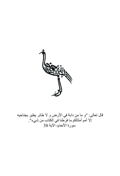 Outarde Houbara
