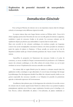 Exploration du potentiel tinctorial de sous-produits industriels