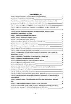 Hydrogeochimie des systemes d'aquiferes du Plateau Bamoun; Cameroun
